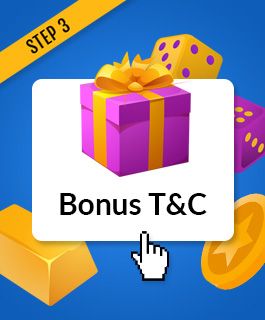 read 300 free spin bonus terms